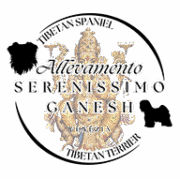 Serenissimo Ganesh
